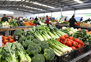 Crates full of fresh vegetables at a warehouse or market.